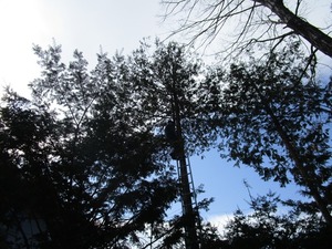 IMG_3019.JPG