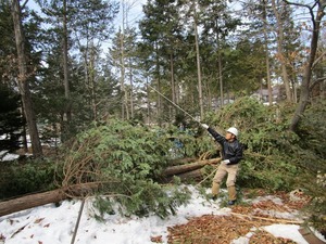 IMG_3020.JPG