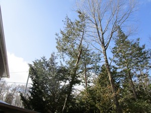 IMG_3024.JPG