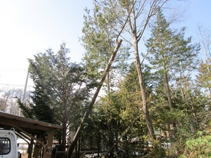 IMG_3025.JPG