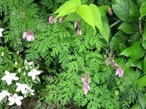 IMG_56.jpg
